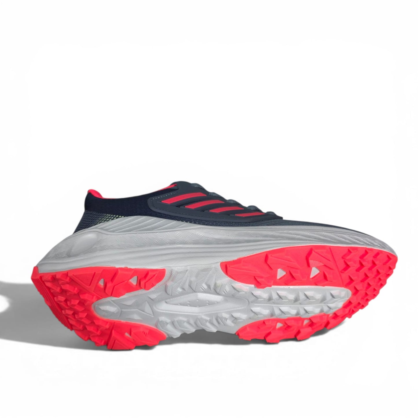 Tenis Importados Para Dama Edición Limitada