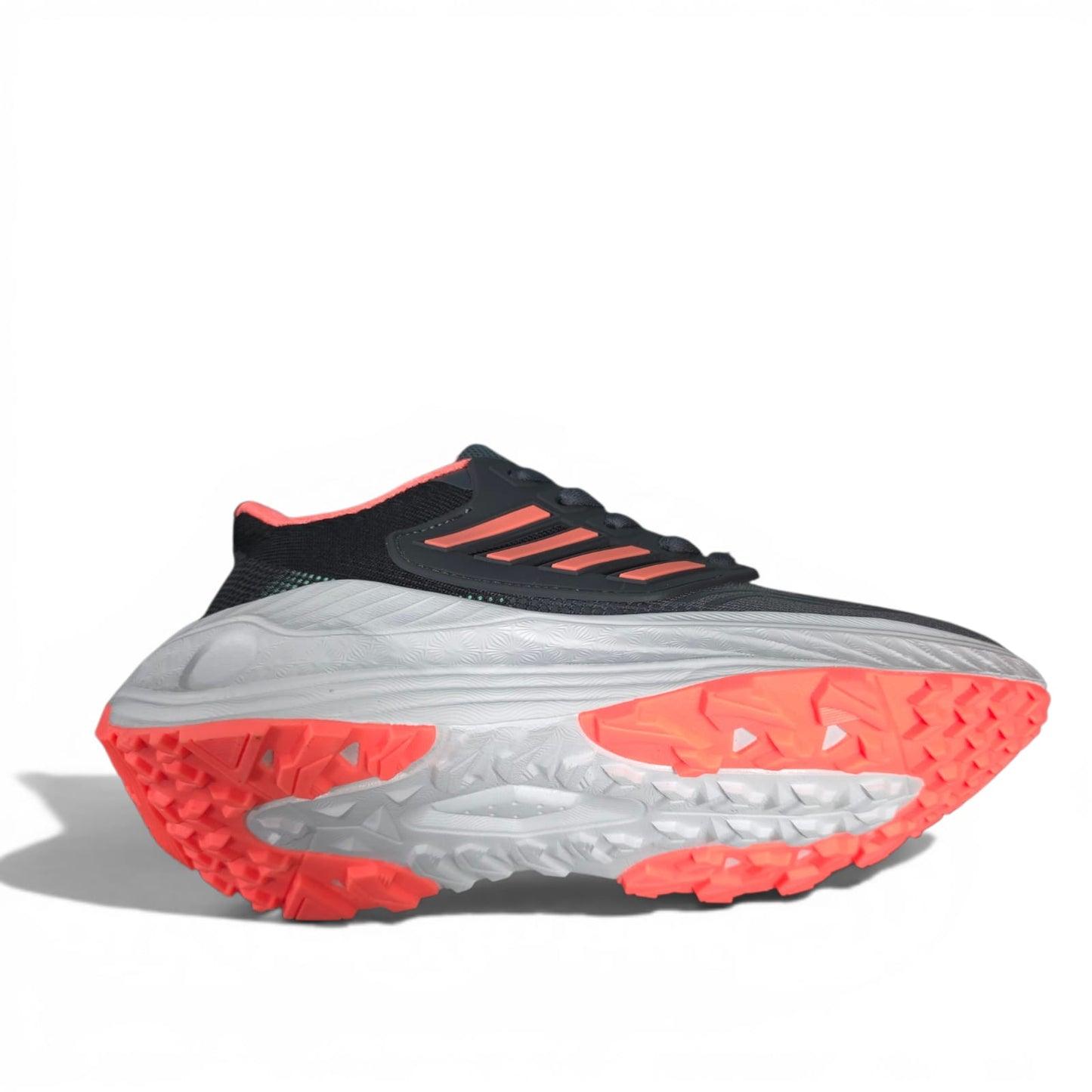 Tenis Importados Para Dama Edición Limitada